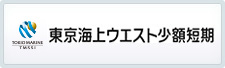 東京海上ウエスト少額短期