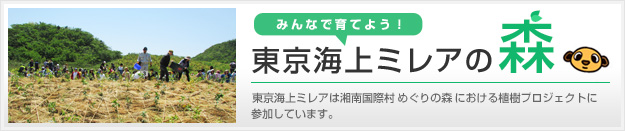 みんなで育てよう！東京海上ミレアの森